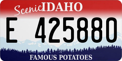 ID license plate E425880