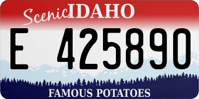 ID license plate E425890