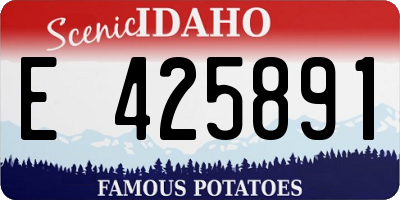 ID license plate E425891
