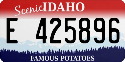 ID license plate E425896