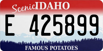 ID license plate E425899