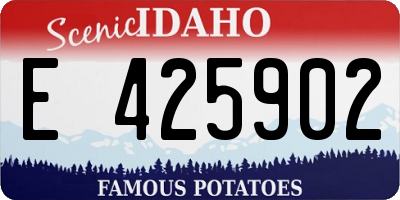 ID license plate E425902