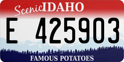 ID license plate E425903