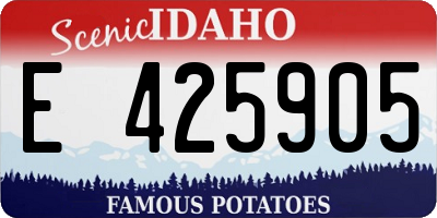 ID license plate E425905