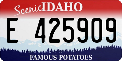 ID license plate E425909