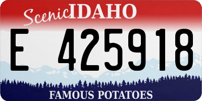 ID license plate E425918