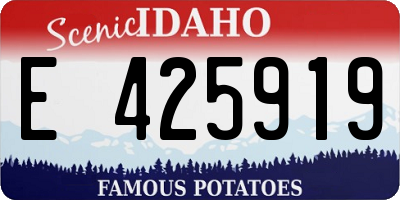ID license plate E425919