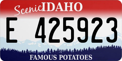 ID license plate E425923