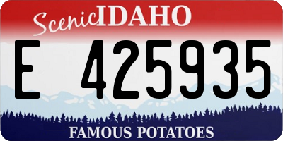 ID license plate E425935