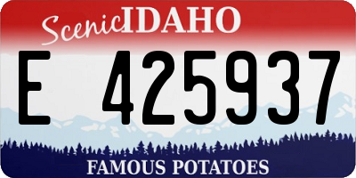 ID license plate E425937