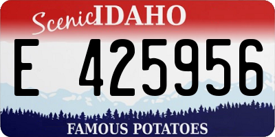 ID license plate E425956