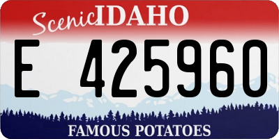 ID license plate E425960