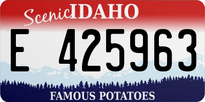 ID license plate E425963
