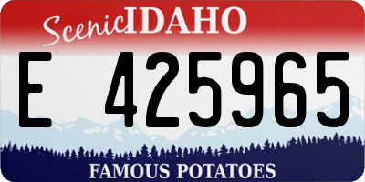 ID license plate E425965