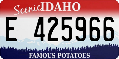ID license plate E425966