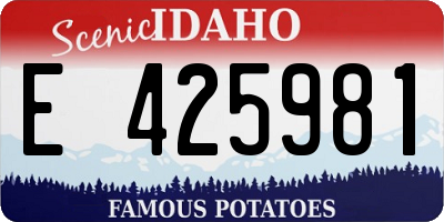 ID license plate E425981