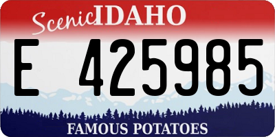 ID license plate E425985