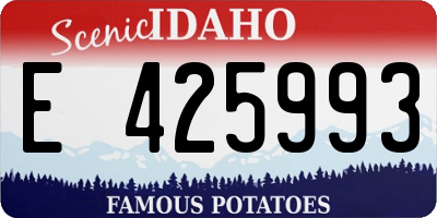 ID license plate E425993