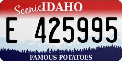 ID license plate E425995