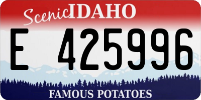 ID license plate E425996