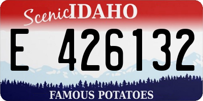 ID license plate E426132