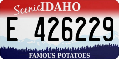ID license plate E426229