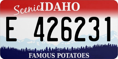 ID license plate E426231