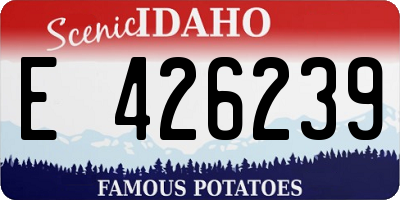 ID license plate E426239