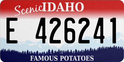 ID license plate E426241