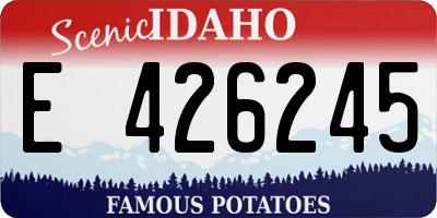 ID license plate E426245