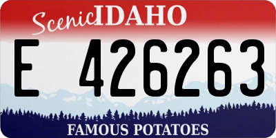 ID license plate E426263