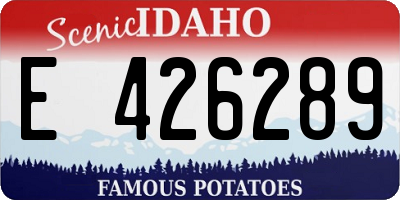ID license plate E426289