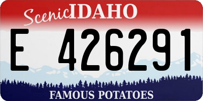 ID license plate E426291