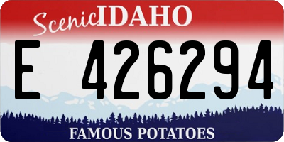 ID license plate E426294