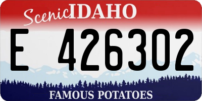 ID license plate E426302