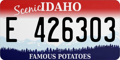 ID license plate E426303