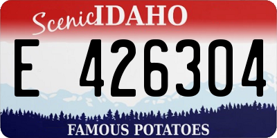 ID license plate E426304