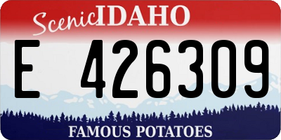 ID license plate E426309