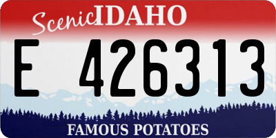ID license plate E426313