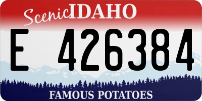 ID license plate E426384