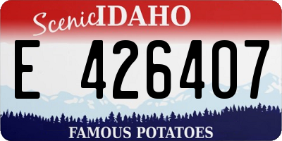 ID license plate E426407