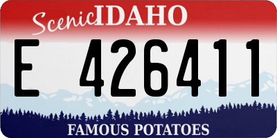 ID license plate E426411