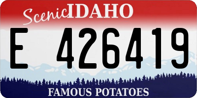 ID license plate E426419