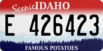 ID license plate E426423