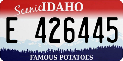 ID license plate E426445