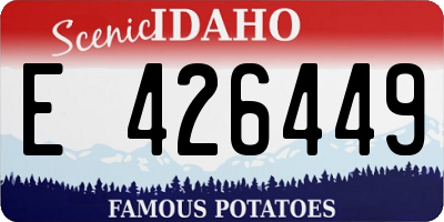 ID license plate E426449