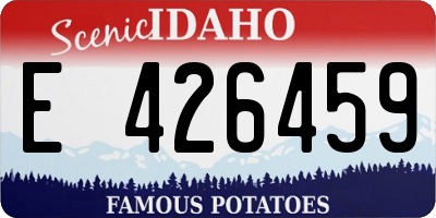 ID license plate E426459