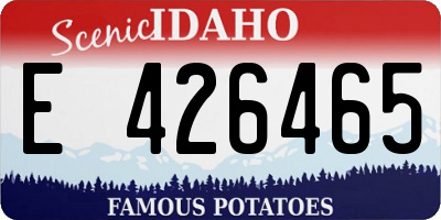 ID license plate E426465