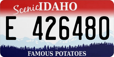 ID license plate E426480
