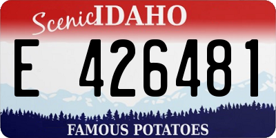 ID license plate E426481